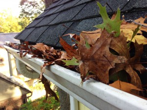 before-clean-gutter